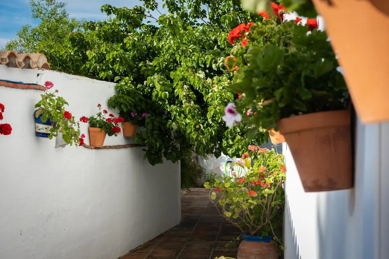 Apartamentos Turisticos Cabo Roche Conil De La Frontera