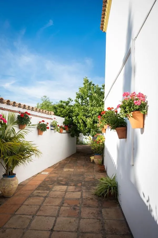 Apartamentos Turisticos Cabo Roche Conil De La Frontera 0*,